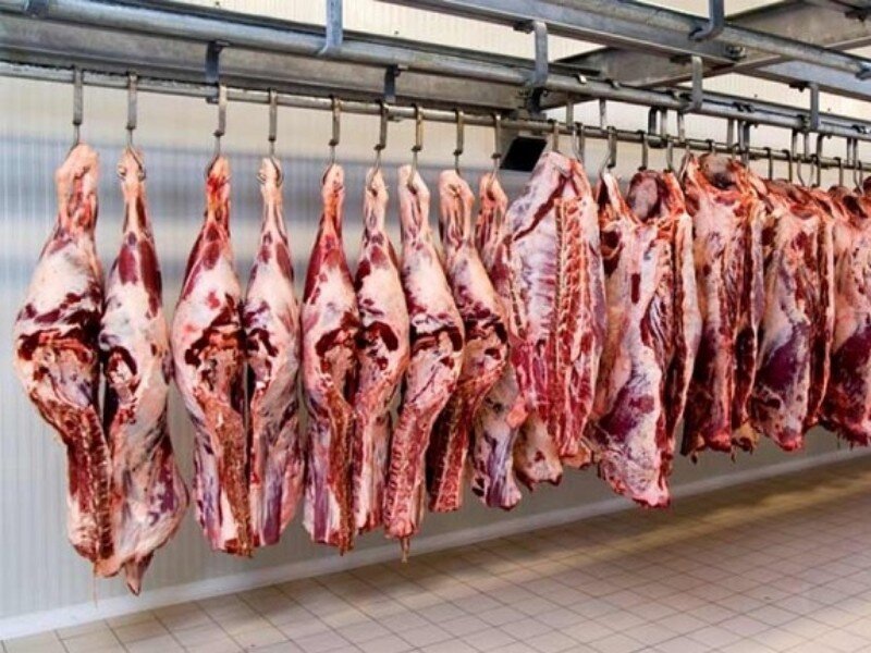 معاون وزیر: گوشت سال بعد به کمتر از ۵۰۰ هزار تومان می‌رسد